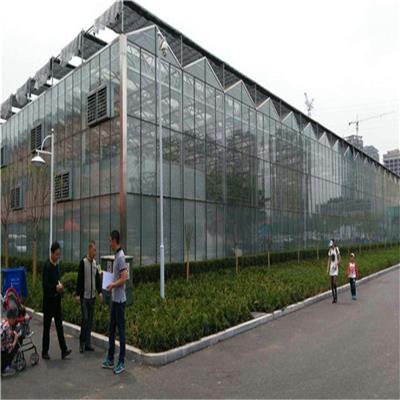 江苏山东智能连栋玻璃温室大棚的温度监控