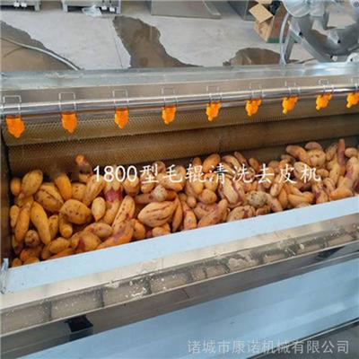 红薯清洗机毛刷红薯去皮清洗机 不锈钢材质 进口尼龙丝使用寿命长