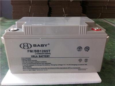 鸿贝蓄电池FM/BB1265T/12V65AH 铅酸免维护 阀控式机房用