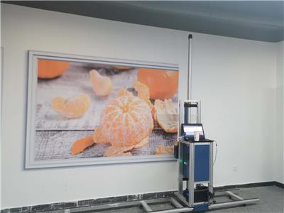 东莞市江榕3d墙体喷绘机支持上门培训安装指导