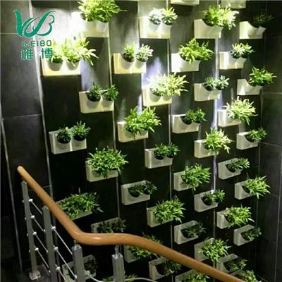 滁州绿植植物墙设计