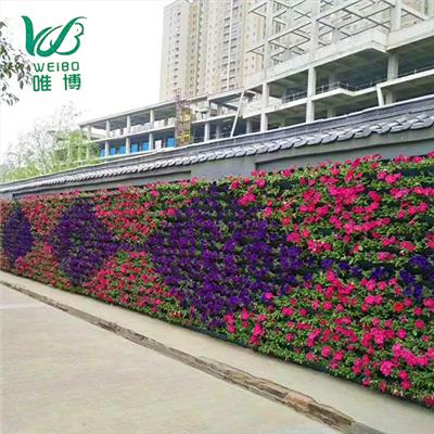亳州大型商场绿植植物墙设计