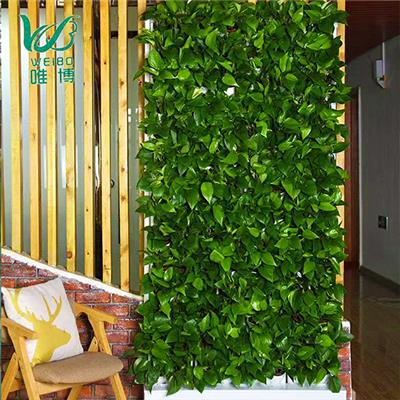 安庆公共场合绿植植物墙设计
