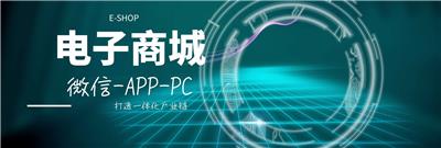 中山电子商务平台电子商城微信商城电子营销APP分销管理平台开发定制