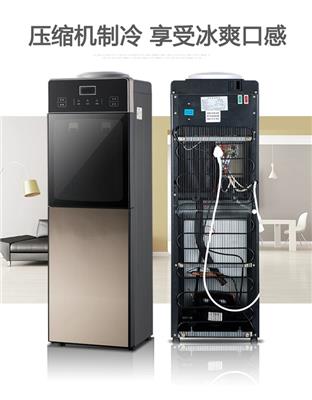 办公室立式饮水机全自动冰温热 家用双门台式制冷冷热饮水机