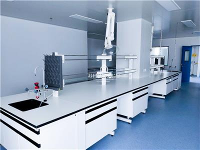 泰兴核酸检测实验台检测台生产厂家 化验医学研究工作边台