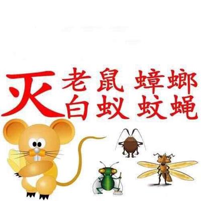 武汉高端餐饮酒店灭鼠/除虫公司