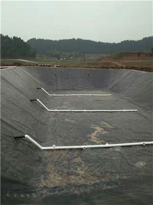 土工膜-沼气池土工膜现货供应 德赢 HDPE土工膜现货供应