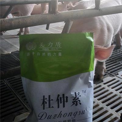 杜仲叶提取物降低母猪生产成本 杜仲素猪