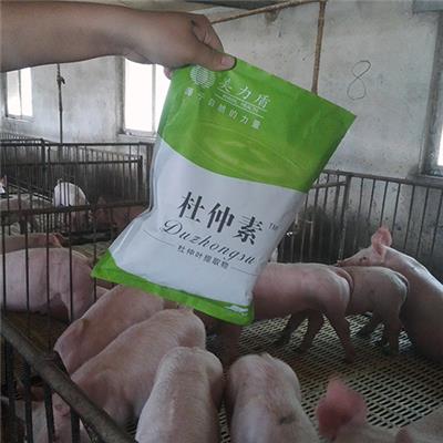 猪饲料添加剂杜仲叶提取物 杜仲素猪用