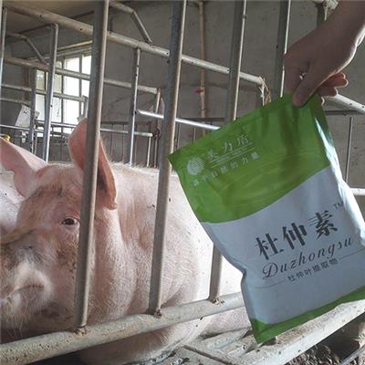 猪用饲料添加剂杜仲叶提取物应用