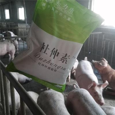 杜仲叶提取物提高母猪生产性能 杜仲素猪用