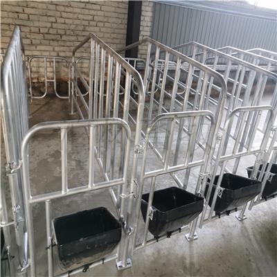 肥猪定位栏 设计安装 泊林畜牧 厂家现货 热镀锌定位栏 尺寸可定制