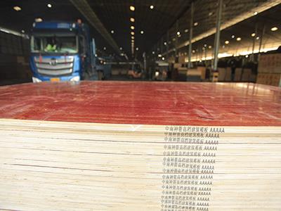批发建 筑模板 来广西工厂 厂家生产 红模板日产量4万张