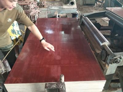 建筑模板 广东工地优选木模板 整芯整板 货源充足 厂家直销