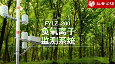 FYLZ-200大气负氧离子监测气象站