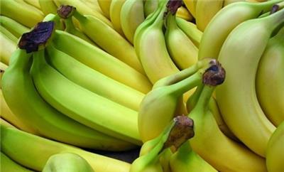 进口印度尼西亚巴厘岛香蕉报关流程