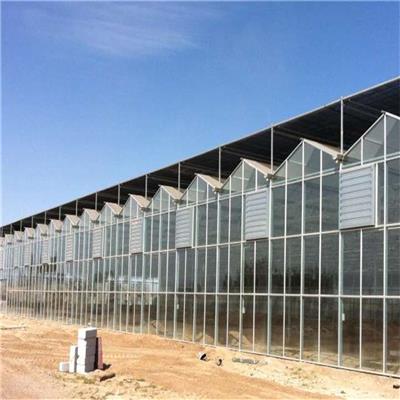新型生态玻璃温室定制温室建设工程