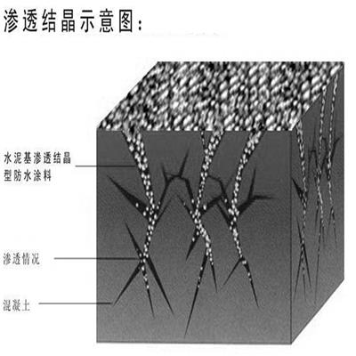 重庆晟诺厂家直销水泥基渗透结晶型防水涂料批发价格