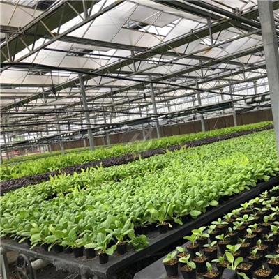 安平花卉育苗自动喷灌机生产