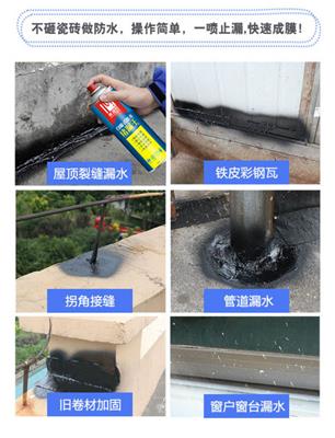 广西省 南宁市 麦施龙自喷式防水堵漏王 两种色黑白
