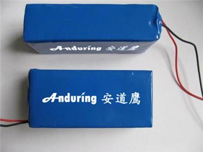 电瓶车锂电池ADY-LD1