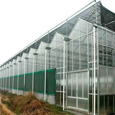 新型玻璃温室 连栋玻璃大棚建设 品质**
