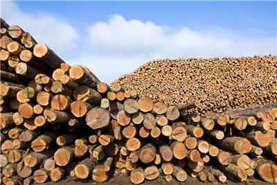深圳港印尼木材进口报关代理-进口木材报关-进口木材清关