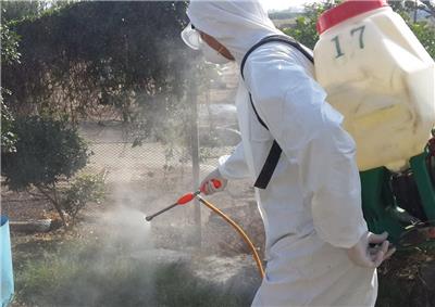 重庆有没有杀虫公司联系方式 灭虫公司 免费现场勘查 签订合同 实施程序规范