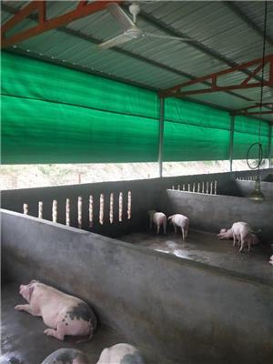 贵州猪场卷帘帆布-温室鸡场卷帘布定做 遮阳货运篷布