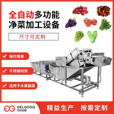 广州水果清洗机价格 萝卜清洗机 全国发货