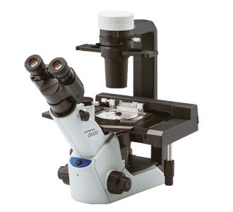 CKX53OLYMPUS 奥林巴斯CKX53荧光显微镜