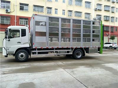 威海5.2畜禽运输车 后八轮平板运输车 大型天然气运输车价格