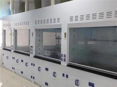 苏州实验室通风柜设备厂 苏州杭东实验室设备供应