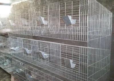 养殖场兔笼三层兔笼子母兔笼瀚捷出售