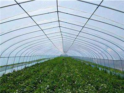 寿光旭峰农业设施有限公司生产温室骨架、建设温室大棚