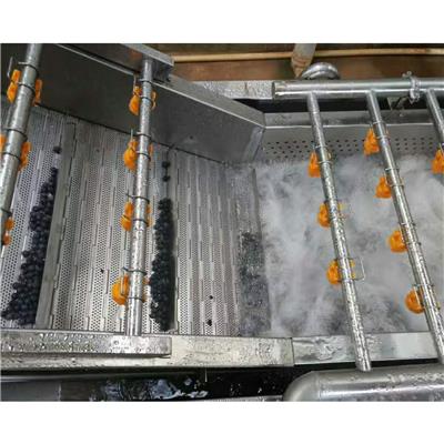果蔬气泡清洗机 不锈钢材质 支持定制