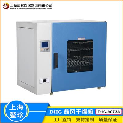 厂家直销 DHG-9073A大屏数显鼓风干燥箱实验室烘焙 融蜡 灭菌设备