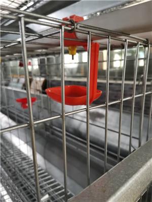 生产阶梯鸡笼设备 国标Q 235材质 坚固稳定