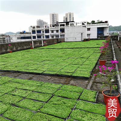 商品房屋顶绿化花盆