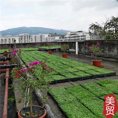 屋顶绿化花盆厂家