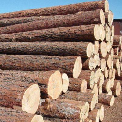 东南亚木材进口报关手续-进口木材报关-进口木材清关
