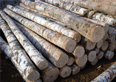 蛇口港墨西木材进口清关单证-进口木材报关-进口木材清关