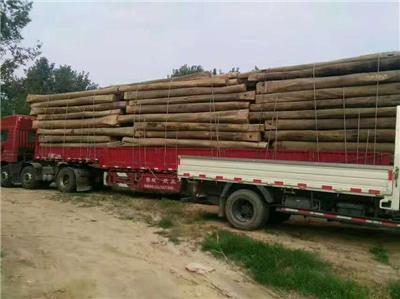 复古老榆木板材 榆木家具定制 广州老榆木原木货架批发