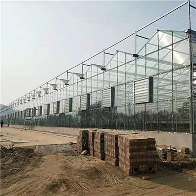 温室大棚 玻璃温室承接工程 现货加工花卉种植温室大棚厂家 供应安装