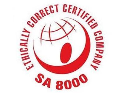 广东东莞SA8000社会责任体系认证咨询纵横世纪
