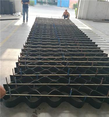 山东泰安土工格室 土工网 生产厂家 焊炬 高度 板材厚度 支持定制定做