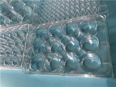 上海增友生物Y-10096无菌圆孔平底96孔细胞培养板tc处理细胞培养板无菌塑料透明24孔细胞培养板12孔细胞培养板