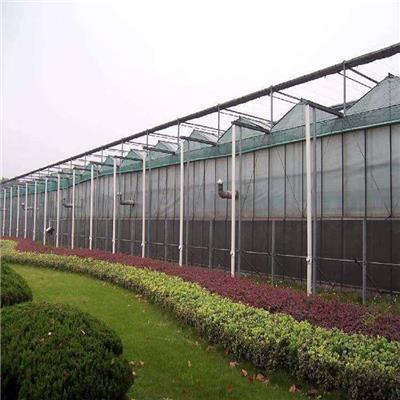单面温室玻璃大棚造价 东阳温室建造智能温室大棚 大型玻璃温室