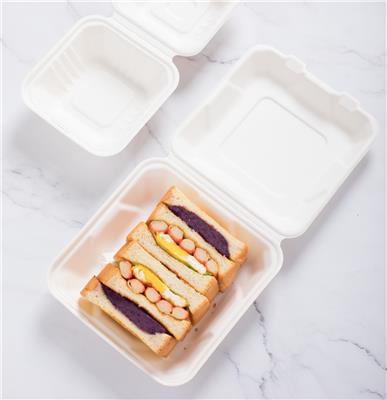 韶能绿洲一次性环保蔗浆纸盘圆形家用装菜纸碟子餐具纸浆野餐蛋糕盘子汉堡盒